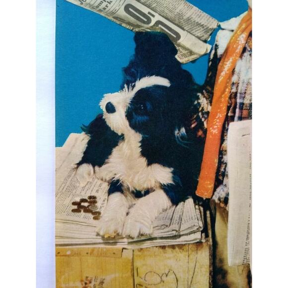 Boy And Dog Black & White Puppy Paperboy Art Print Vintage 1940s Lithograph NOS - Picture 3 of 6
